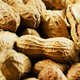 Illustration for article titled A Gut Microbe Could Be the Key to Stopping Peanut Allergies